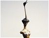 Mdchen mit Vogel Bronze 182 cm hoch